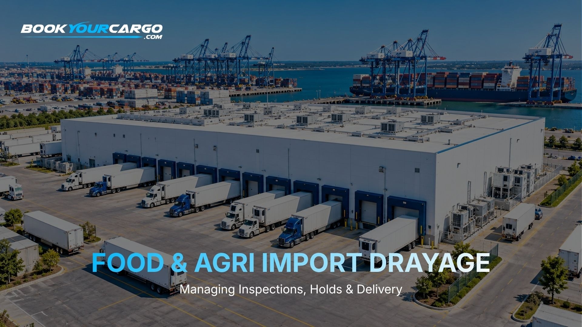 How cold storage near the port works for reefer cargo: devanning and container clocks, the receiving check, FDA cold store rules and USDA meat imports.
